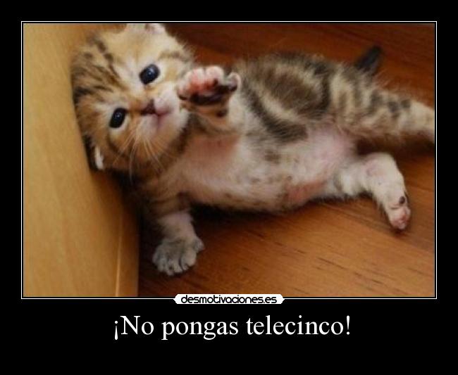 ¡No pongas telecinco! - 