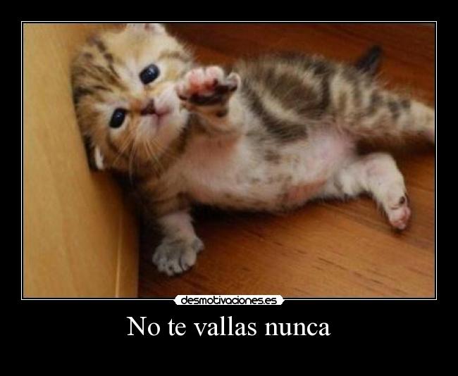No te vallas nunca -