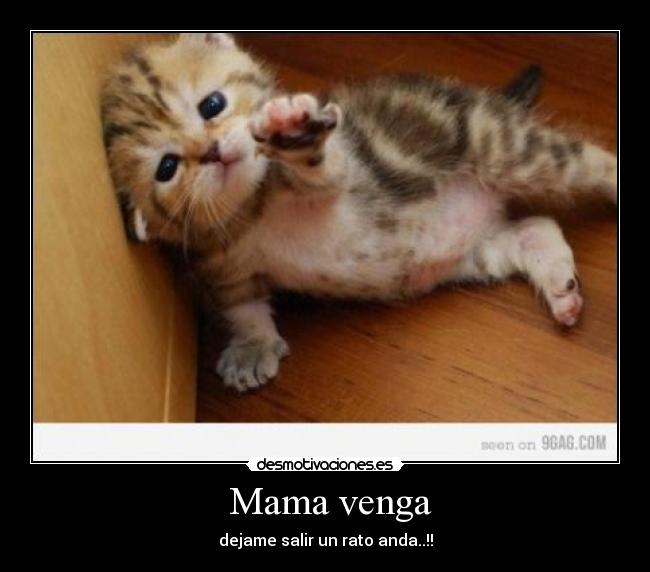 Mama venga - dejame salir un rato anda..!!