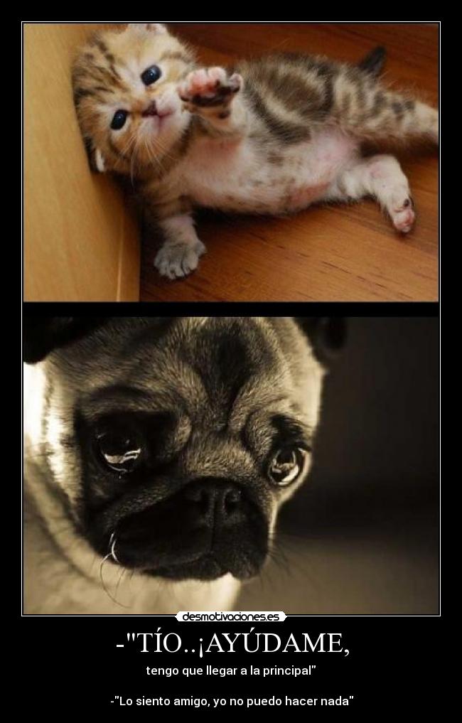 -TÍO..¡AYÚDAME, -