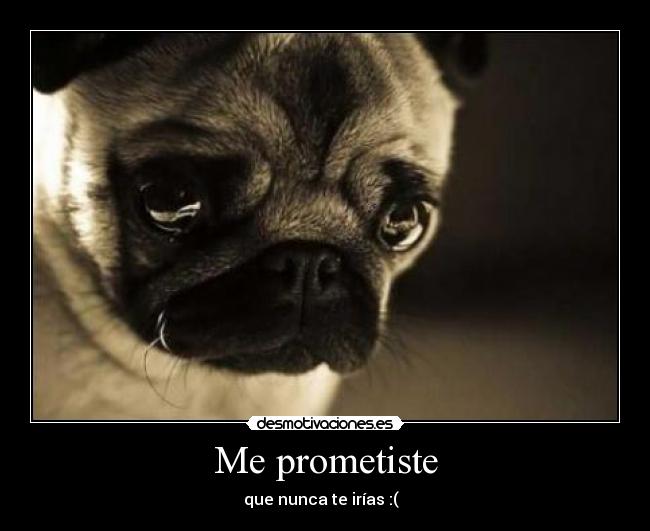 Me prometiste - que nunca te irías :(  