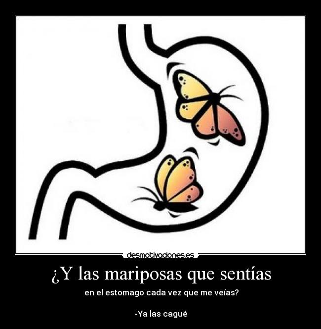 ¿Y las mariposas que sentías - en el estomago cada vez que me veías?
-Ya las cagué