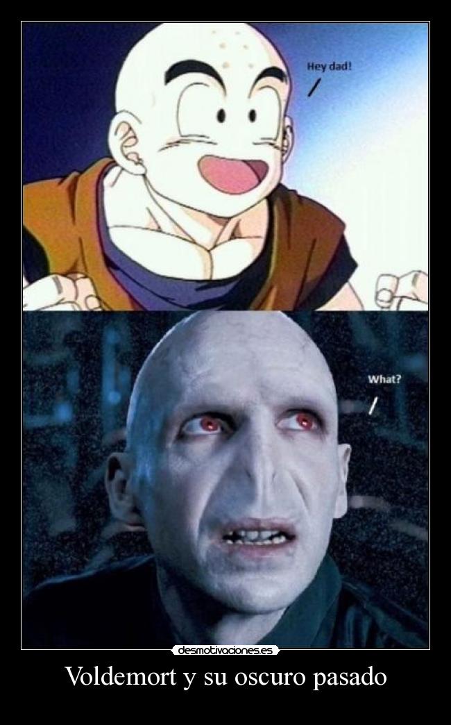 carteles pasado voldemort krillin harry potter desmotivaciones