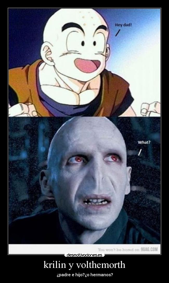 krilin y volthemorth -