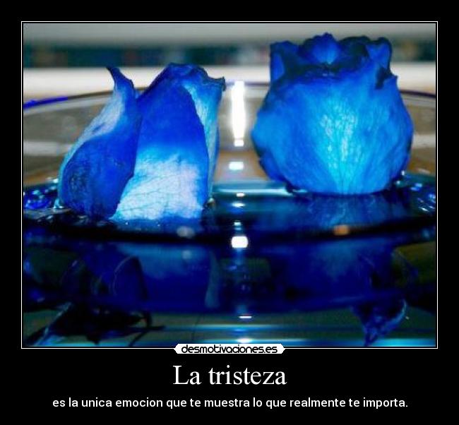 La tristeza - 