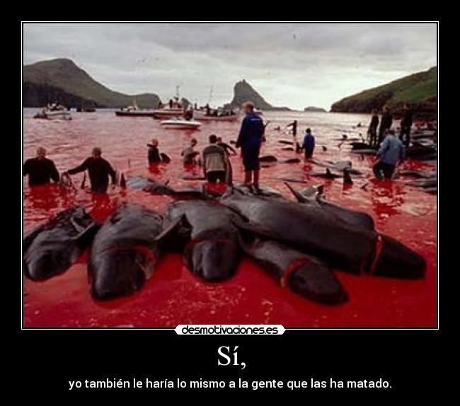 carteles ballenas desmotivaciones