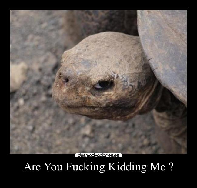 Are You Fucking Kidding Me ? - 