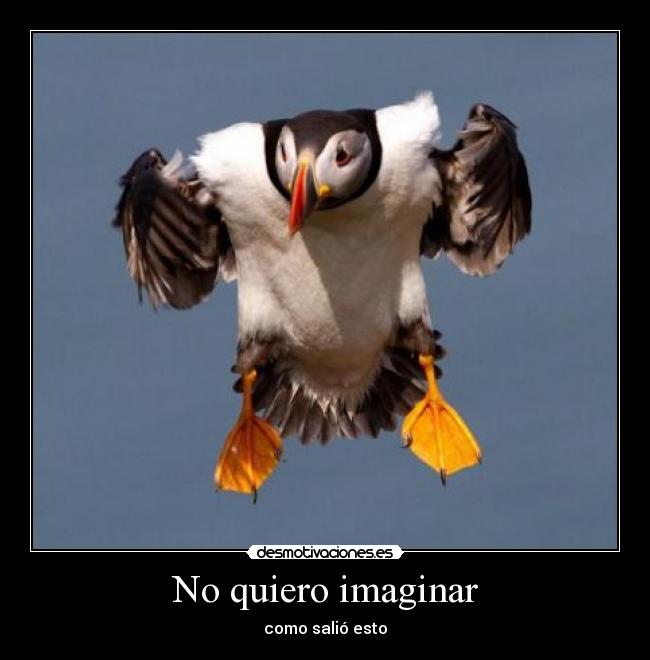 No quiero imaginar -