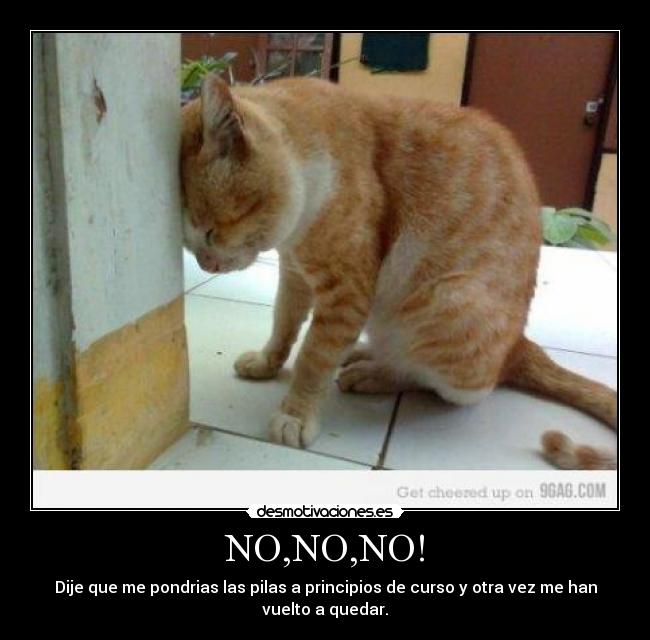 NO,NO,NO! - Dije que me pondrias las pilas a principios de curso y otra vez me han
vuelto a quedar.