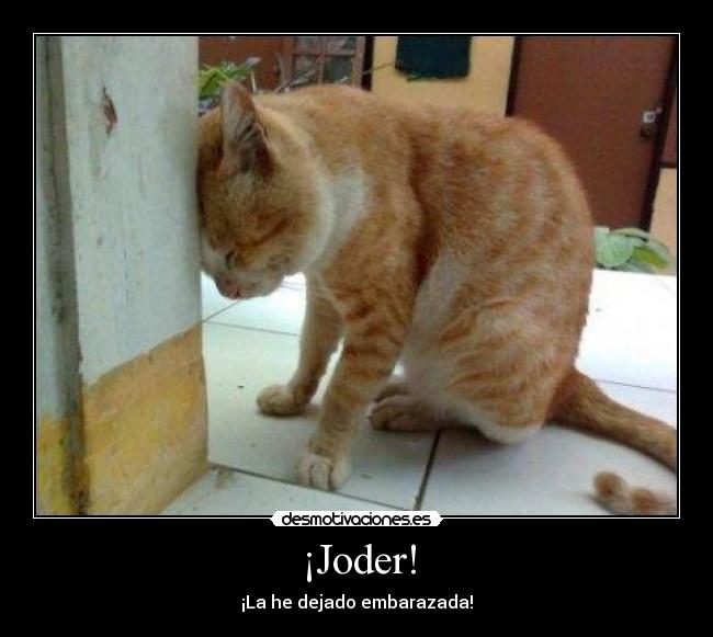 ¡Joder! - ¡La he dejado embarazada!