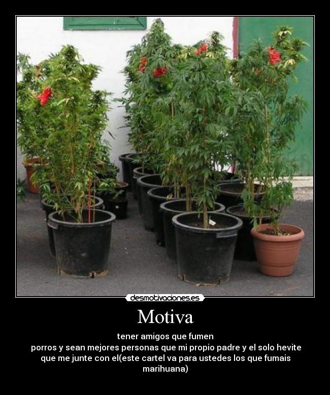 carteles lasrosas localocaloca desmotivaciones