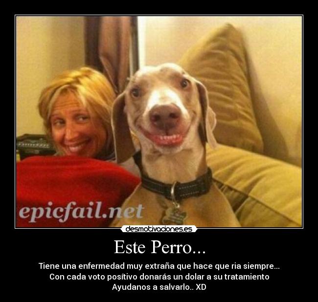 carteles memes humor risa chiste gracioso amor rock futbol desmotivaciones