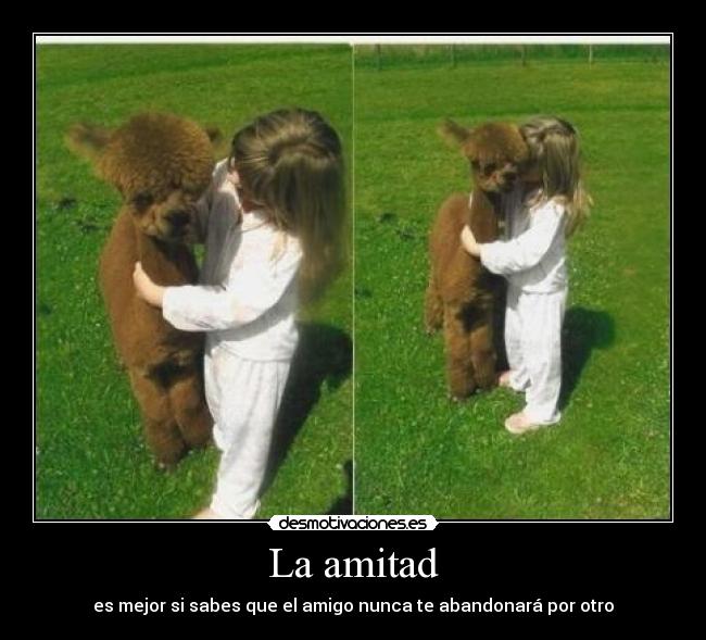 La amitad - 