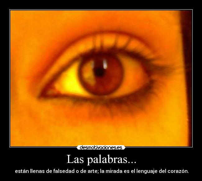 carteles las palabras desmotivaciones