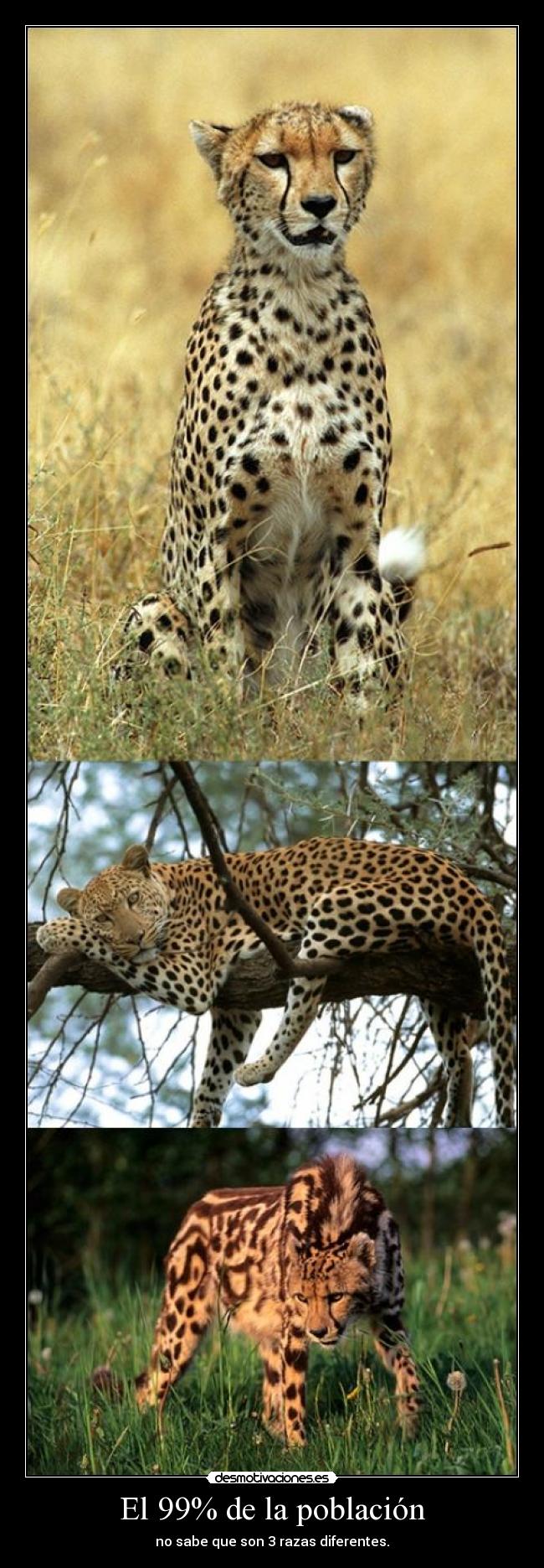 carteles desmotivaciones