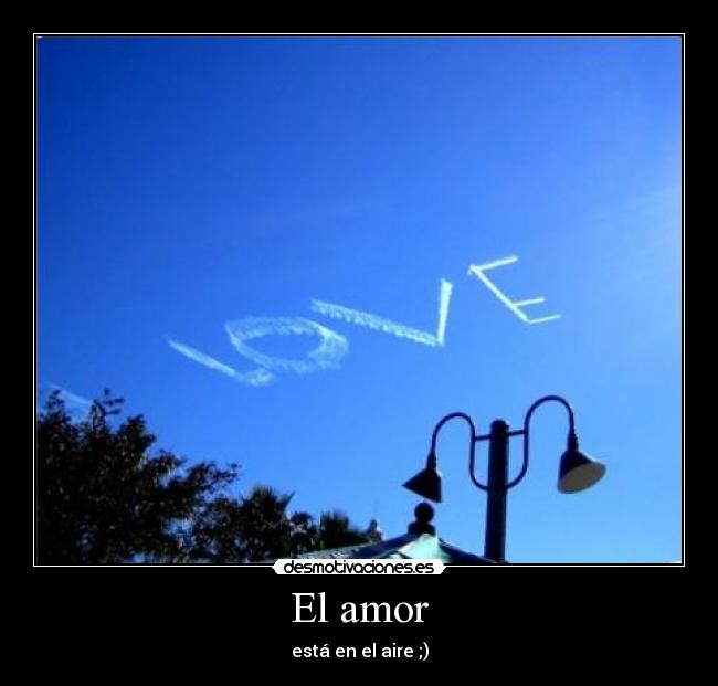 El amor - 