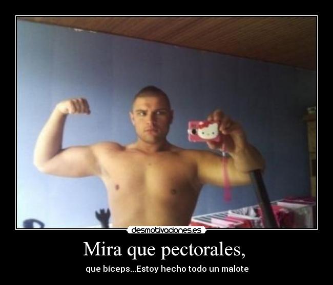 Mira que pectorales, - que bíceps...Estoy hecho todo un malote