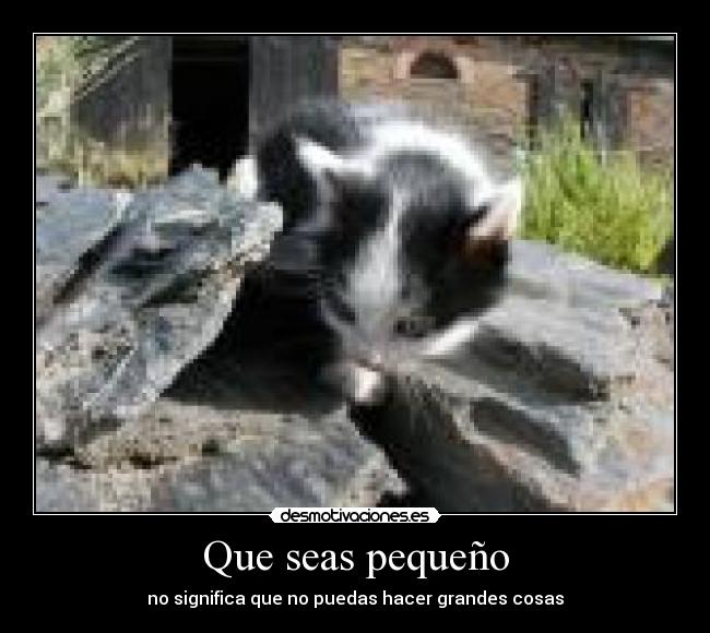 Que seas pequeño - no significa que no puedas hacer grandes cosas