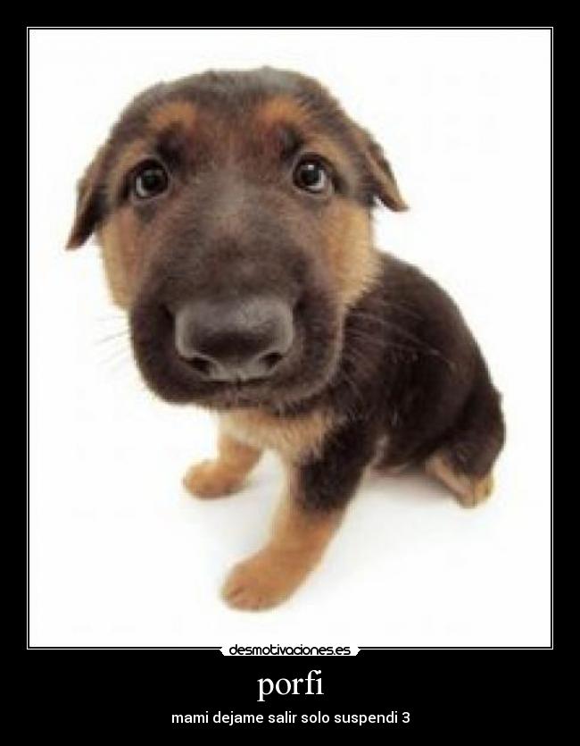 porfi - mami dejame salir solo suspendi 3