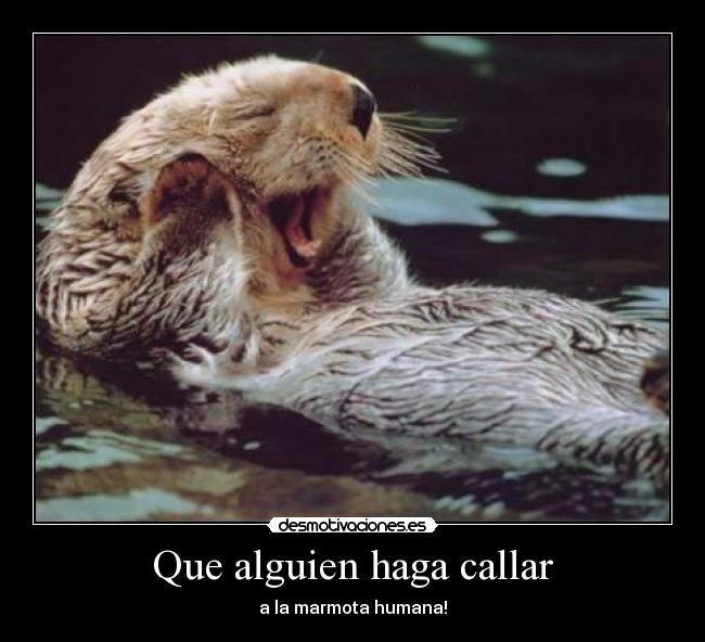 Que alguien haga callar - a la marmota humana!