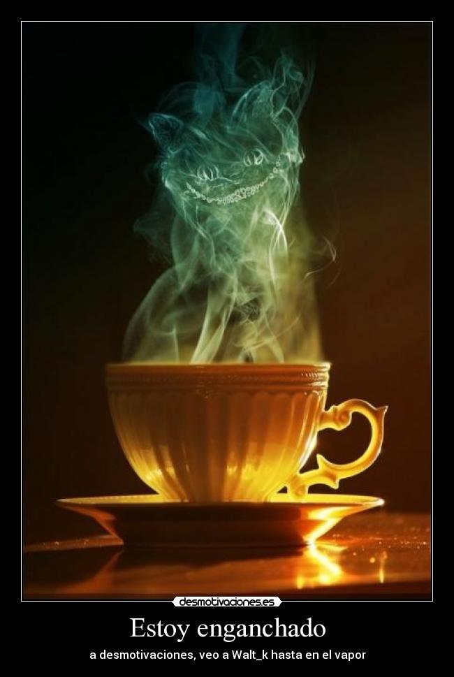Estoy enganchado - a desmotivaciones, veo a Walt_k hasta en el vapor