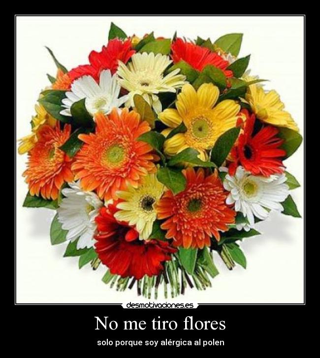 No me tiro flores - solo porque soy alérgica al polen