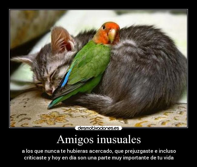 Amigos inusuales -