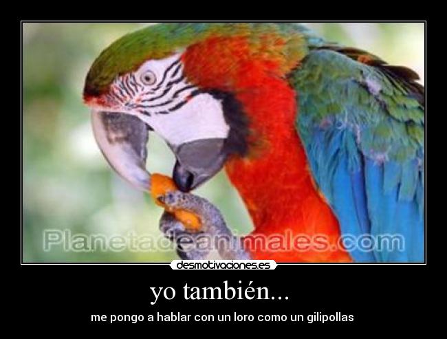 yo también... -