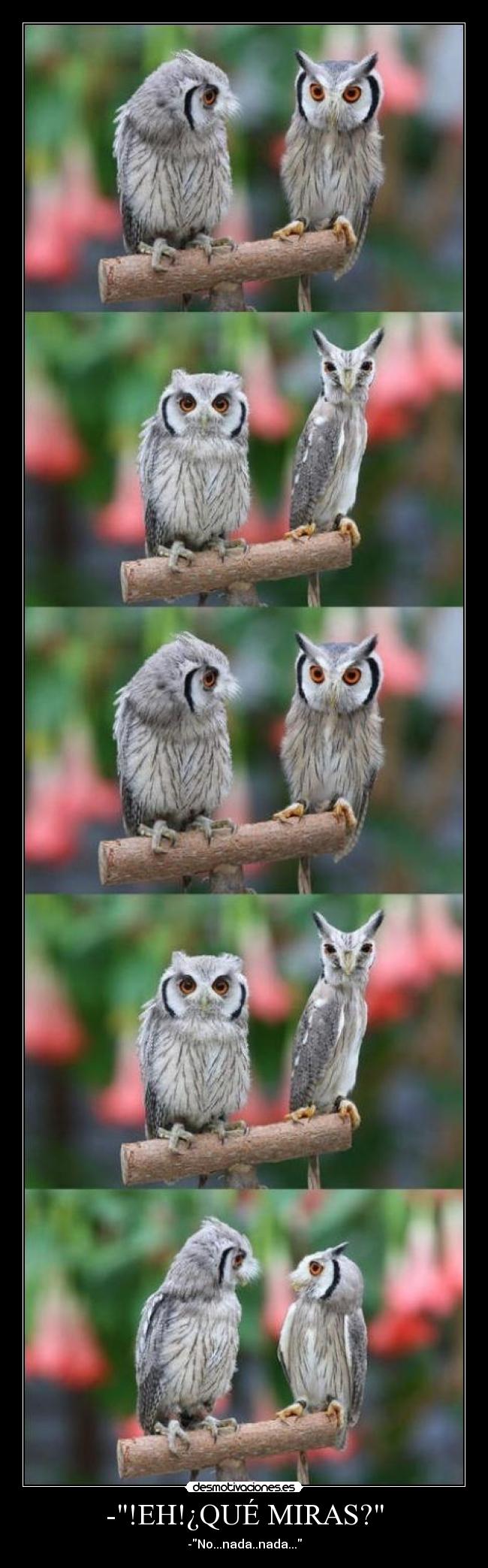 -!EH!¿QUÉ MIRAS? -