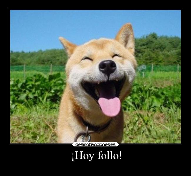 ¡Hoy follo! - 