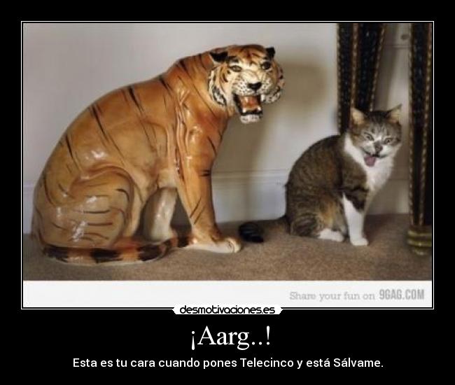 ¡Aarg..! - Esta es tu cara cuando pones Telecinco y está Sálvame.