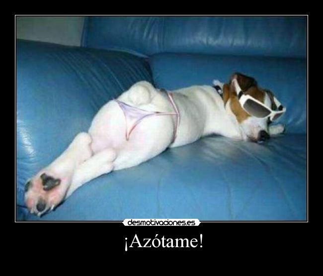 carteles azotame desmotivaciones