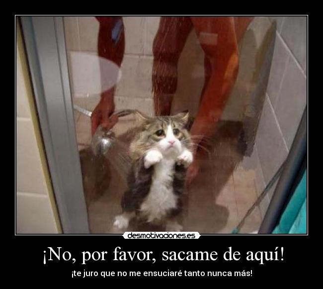 ¡No, por favor, sacame de aquí! - 