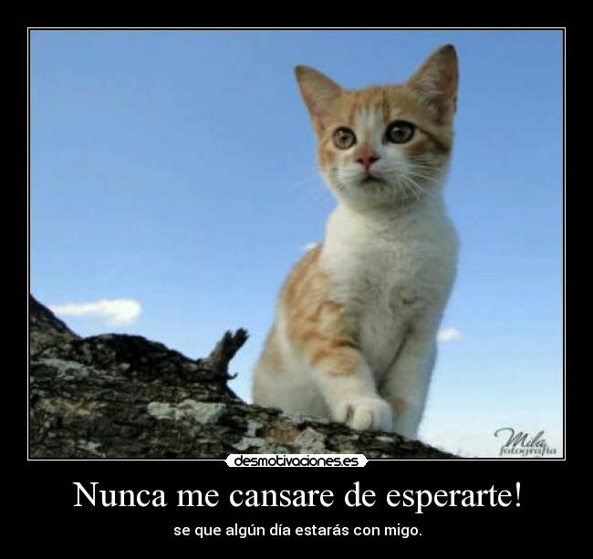 Nunca me cansare de esperarte! - se que algún día estarás con migo.