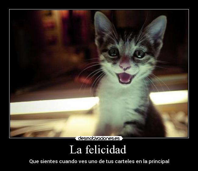 La felicidad  - Que sientes cuando ves uno de tus carteles en la principal