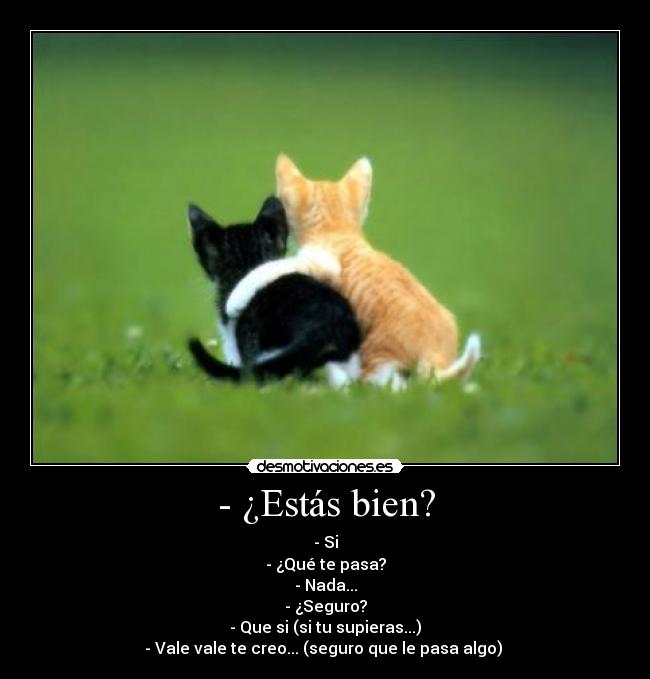 - ¿Estás bien? - - Si
- ¿Qué te pasa?
- Nada...
- ¿Seguro?
- Que si (si tu supieras...)
- Vale vale te creo... (seguro que le pasa algo) 