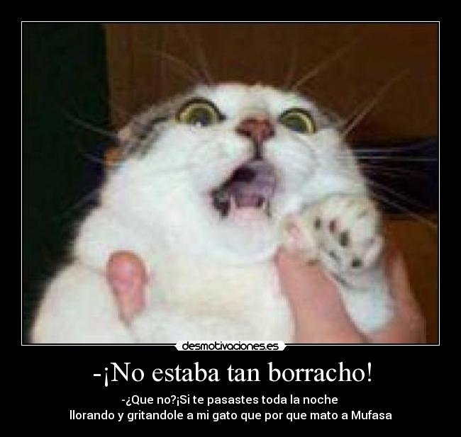 -¡No estaba tan borracho! - -¿Que no?¡Si te pasastes toda la noche 
llorando y gritandole a mi gato que por que mato a Mufasa