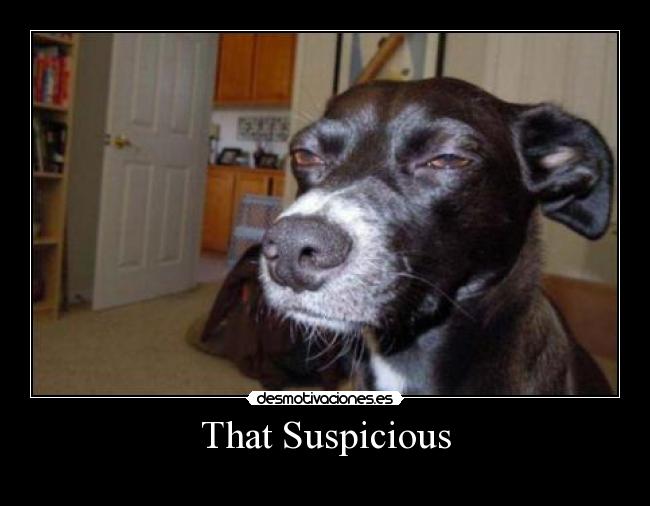 That Suspicious -