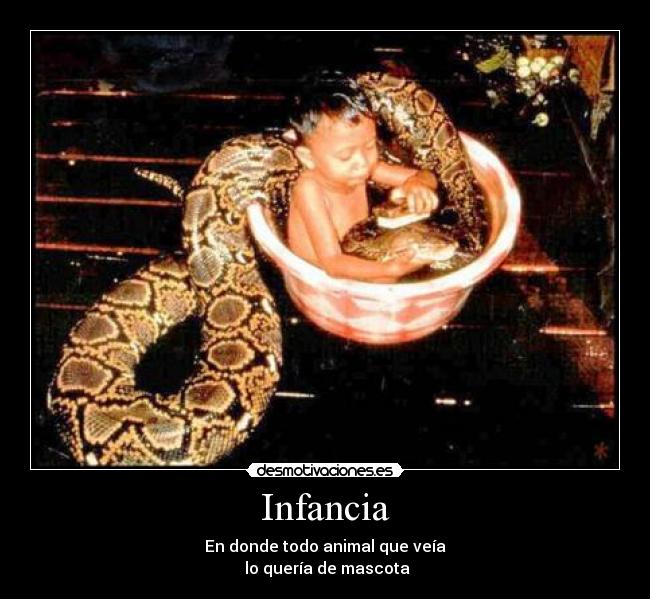 Infancia - En donde todo animal que veía
lo quería de mascota