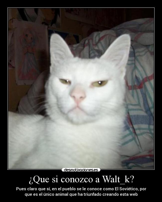 ¿Que si conozco a Walt_k? - 