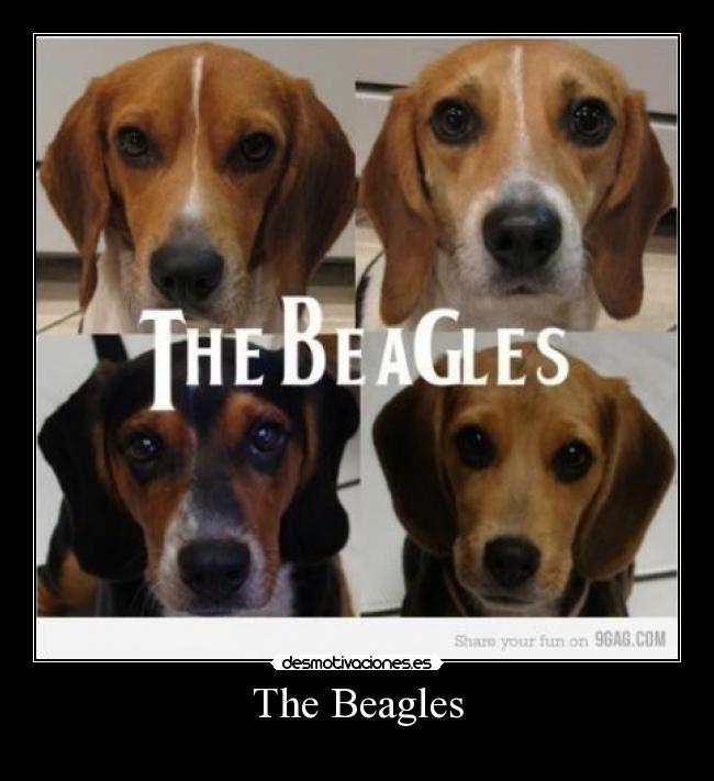 The Beagles - 