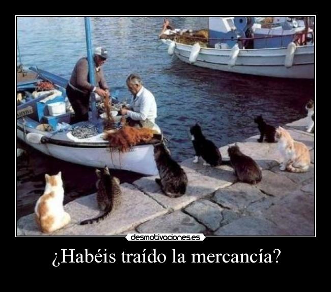 ¿Habéis traído la mercancía? -