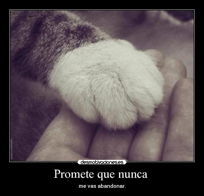 carteles cat desmotivaciones