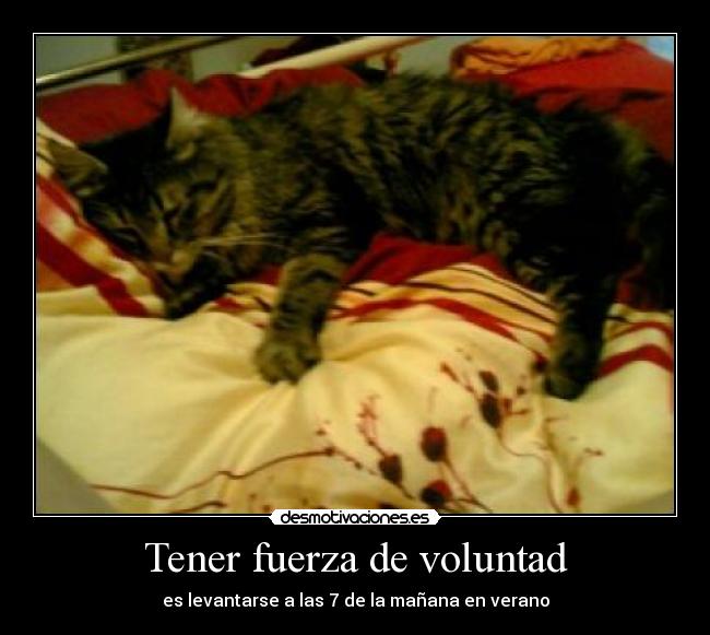 carteles desmotivaciones