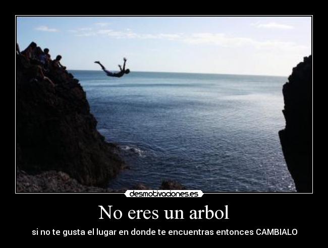 carteles arbol desmotivaciones