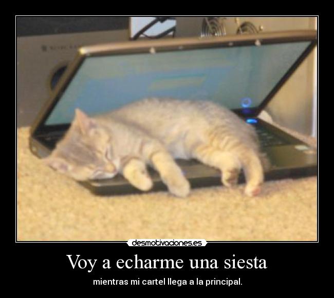 carteles principal desmotivaciones