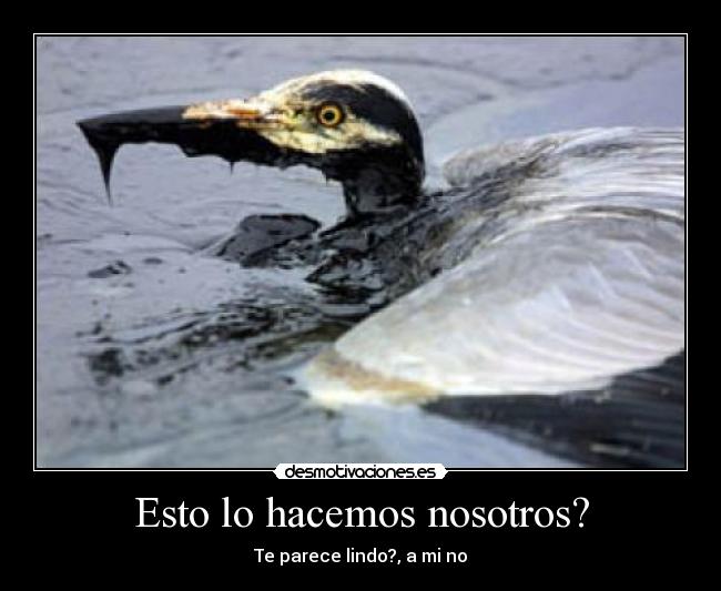 Esto lo hacemos nosotros? - Te parece lindo?, a mi no