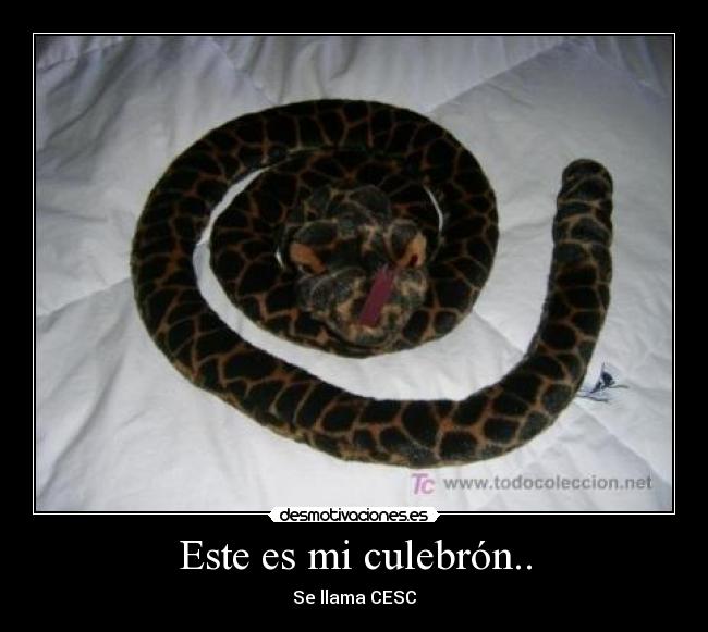 carteles jajaja desmotivaciones