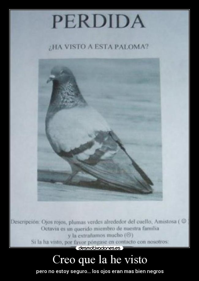 Creo que la he visto - pero no estoy seguro... los ojos eran mas bien negros