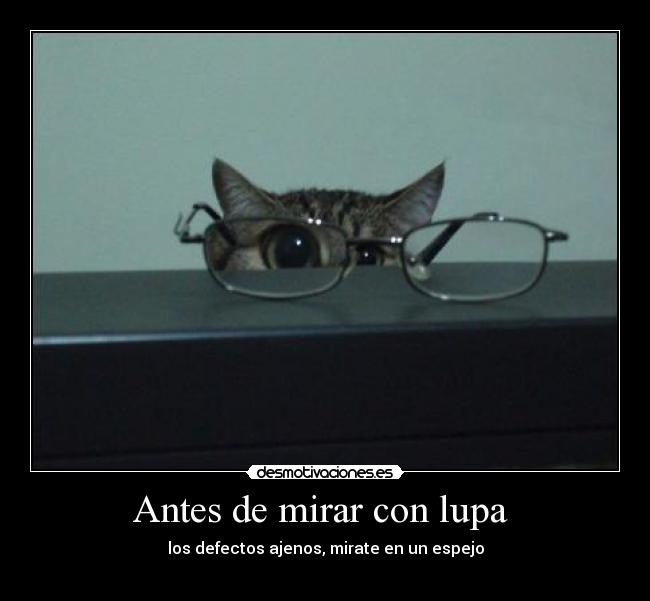 Antes de mirar con lupa  - 